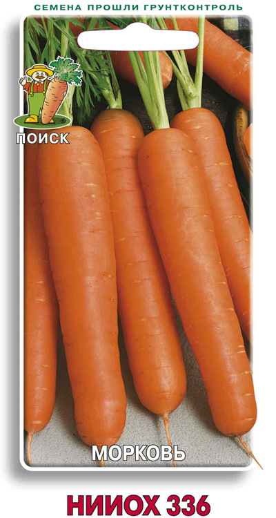 Морковь НИИОХ 336 (ЦВ) 2 гр фото