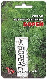 Укроп Борей 1 гр фото