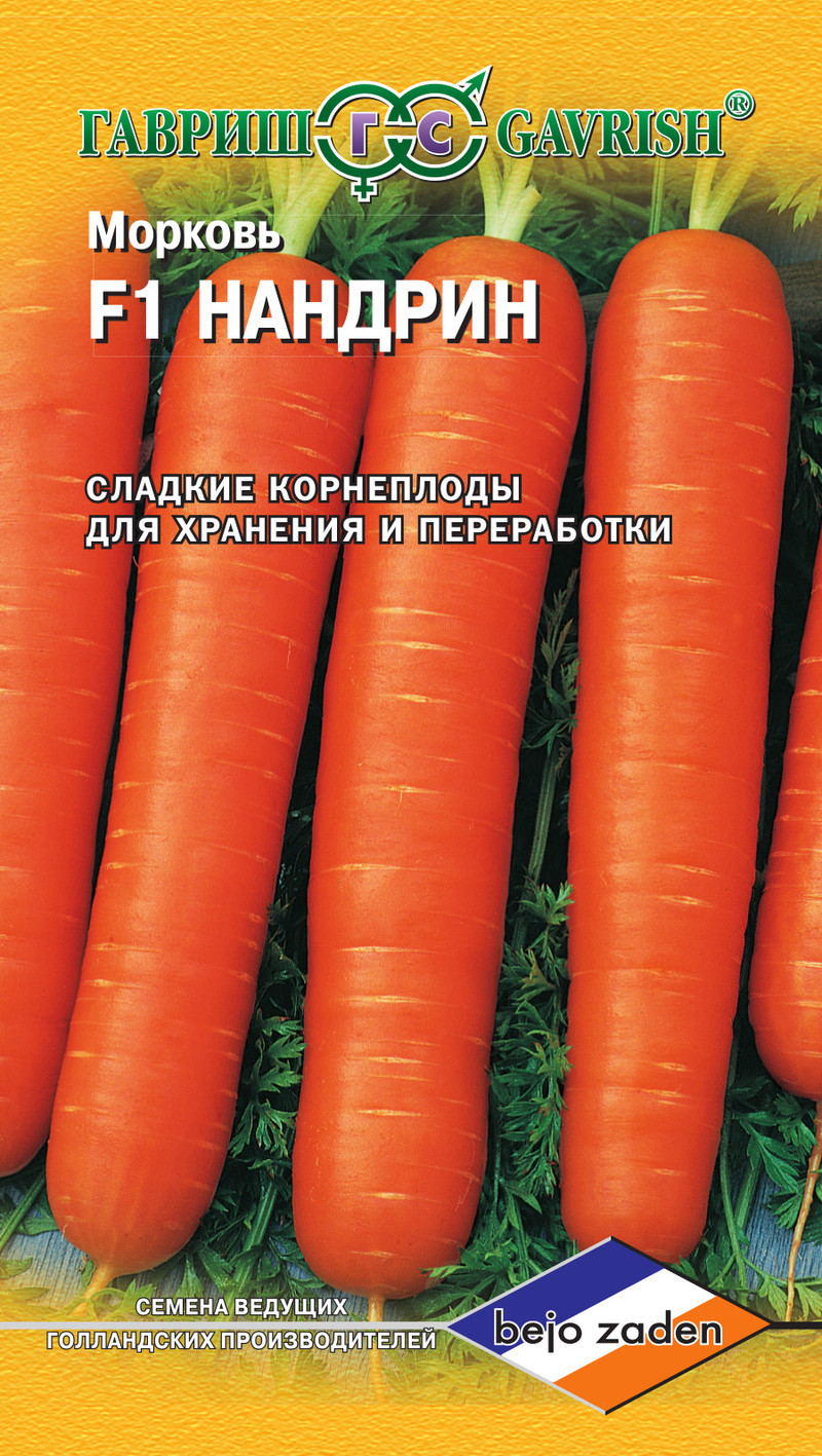 Морковь Нандрин F1 100 шт фото