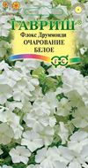 Флокс Очарование белое, друммонди фото