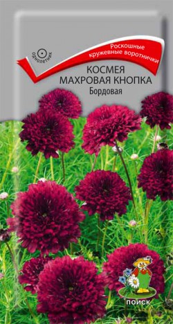 Космея Махровая кнопка Бордовая 0,1 г фото