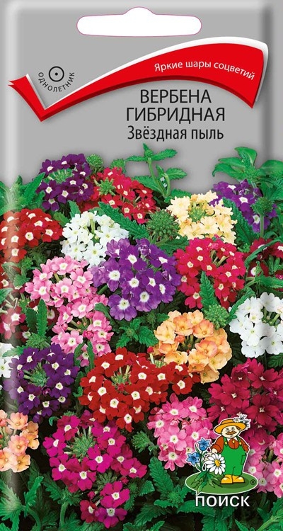 Вербена Звездная пыль  0,2 г фото