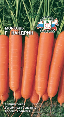 Морковь Нандрин F1 фото