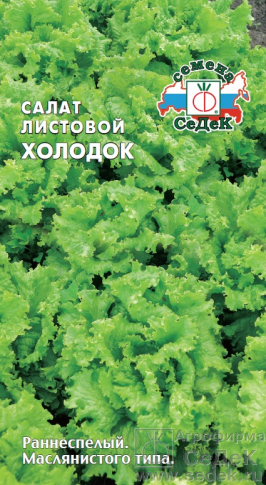 Салат Холодок (листовой) 0,5 г фото