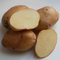 Картофель семенной Крепыш 3 кг фото