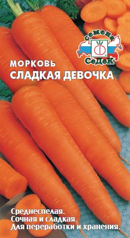 Морковь Сладкая девочка фото