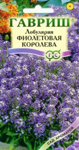 Лобулярия Фиолетовая королева (серия Сад ароматов) фото