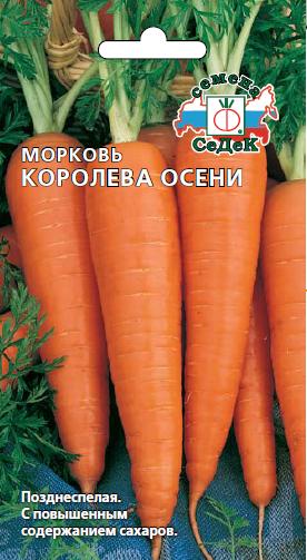 Морковь Королева осени 2 гр фото