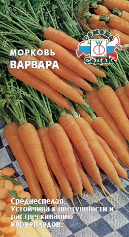 Морковь Варвара 1 гр фото