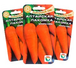 Морковь Алтайская лакомка  фото