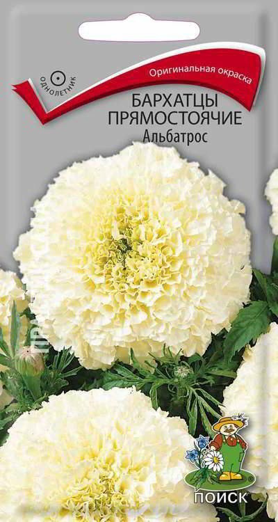 Бархатцы прямостоячие Альбатрос 0,4г фото